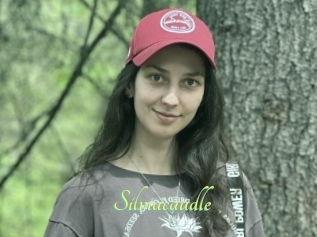 Silviacaudle