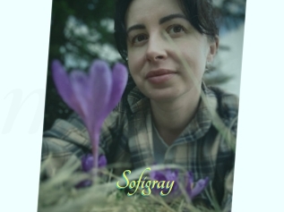 Sofi_gray