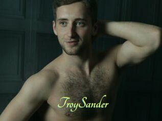 TroySander