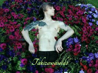 Takizawaseido