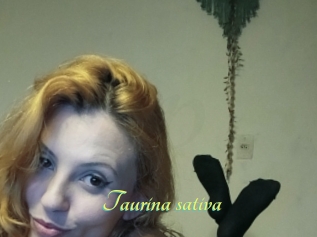 Taurina_sativa