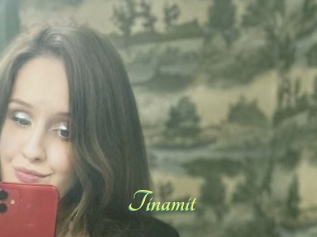 Tinamit