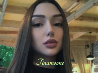 Tinamoone