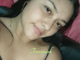 Tinnimark