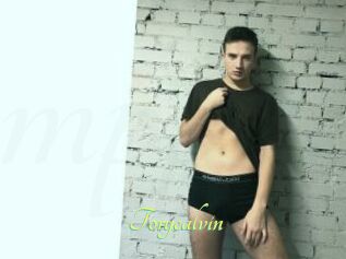 Torycalvin