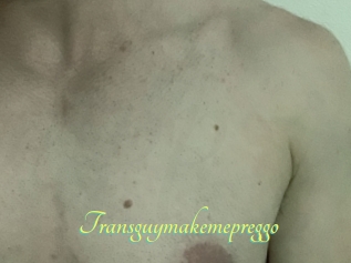 Transguymakemepreggo