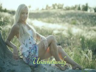Ursecretsandy