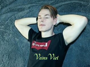 VeinsViet