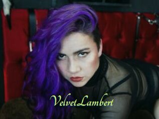 VelvetLambert