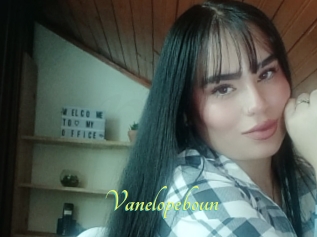 Vanelopeboun
