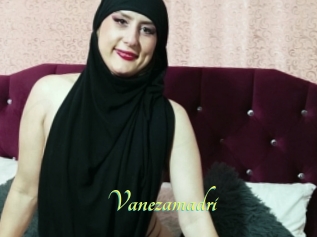 Vanezamadri