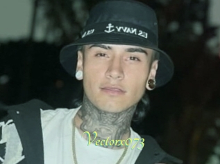 Vectorx073