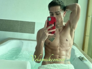 Velamiikconoor