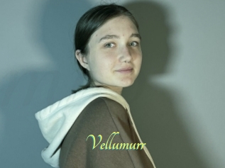 Vellumurr