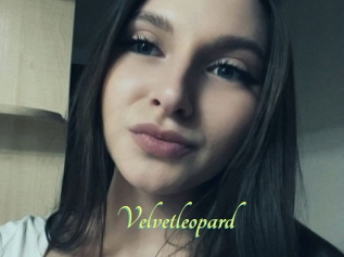 Velvetleopard