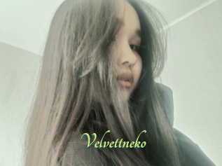 Velvettneko
