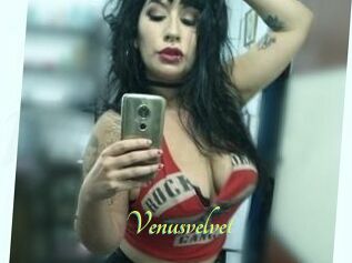 Venusvelvet