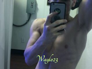 Waylo23
