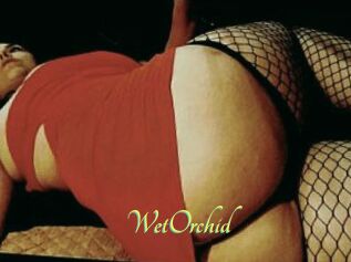 WetOrchid