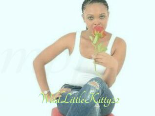 WildLittleKitty22