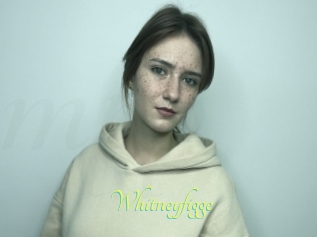 Whitneyfigge