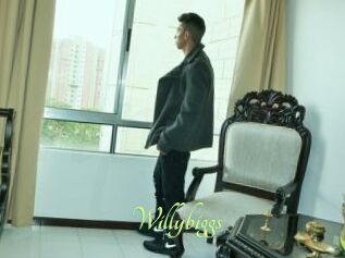Willybiggs