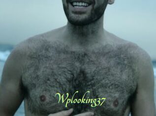Wplooking37