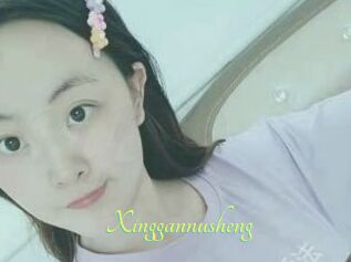 Xinggannusheng