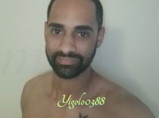 Yigolo0388