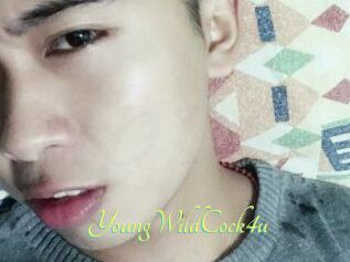YoungWildCock4u