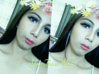 YourTransWild