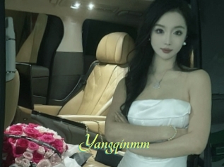 Yangqinmm