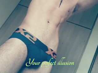 Your_perfect_illusion