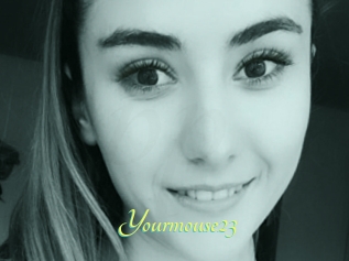 Yourmouse23