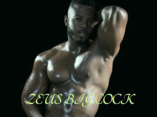 ZEUS_BIG_COCK